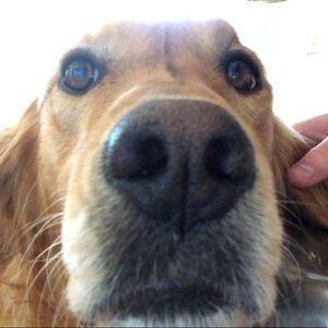 Meet your Posher, Claire